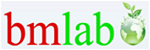 BM Lab